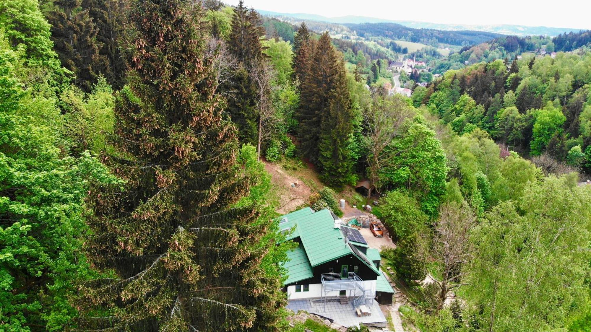 Jizerina Apartment Bedřichov Екстериор снимка
